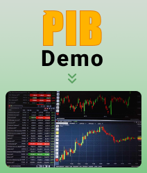  PIB Demo